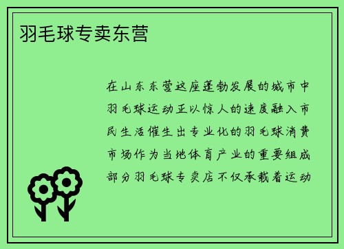 羽毛球专卖东营