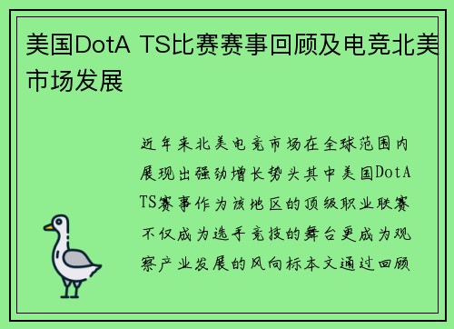 美国DotA TS比赛赛事回顾及电竞北美市场发展